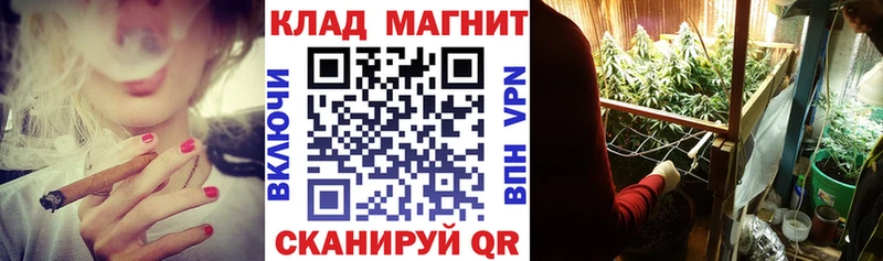 Где можно купить наркотики Новоржев КОКАИН  МЕТАМФЕТАМИН  ГАШ  Меф мяу мяу  Альфа ПВП 