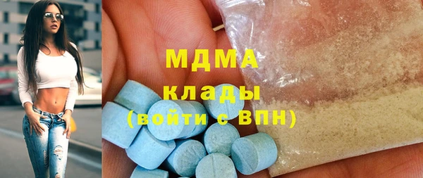 индика Тобольск
