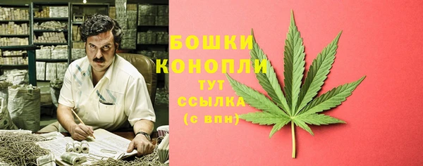 трава Бронницы
